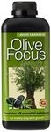 Olive Focus Liquid Concentrated Fertiliser 1 Litre