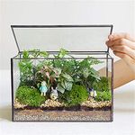 Glass Planters Terrarium with Lid Geometric Plants Terrarium Containers for Moss Indoor Plants Table Top Rectangle Black Terrarium Planter Box for Desk 8.3”L x 4.7”W x 5.5”H