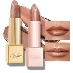 Oulac Nude Lipstick Set 2PCS - Included Metallic Nude Lipstick and Light Brown Liptsick, Vegan Lightweight Hydrating Formula, 10+PG06