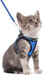 rabbitgoo Cat Harness and Leash Set