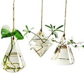 Fashionstorm Indoor Outdoor Glass Hanging Planters Plant Pots Water Plant Containers Flower Pots Glass Terrariums 3 Pieces