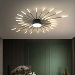 Modern LED Ceiling Light,28+1 Heads Semi Flush Mount Black Chandeliers Ceiling Lighting for Bedroom Living Room Kitchen Dining Room Restaurant