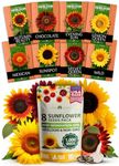 Home Grown Sunflower Seeds for Planting | 8 Varieties |1000+ Sun Flower Seeds Packets to Plant: Grow Dwarf Sunflowers, Mexican Sunflowers, Wild, Lemon Queen, Autumn Beauty, Sunspot, Velvet Queen