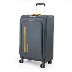 27 Inch Luggage