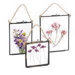 Nicola Spring Hanging Metal Photo Frames Gallery Set - Vintage Metal Floating Glass Picture Wall Display - 3 Sizes - Black