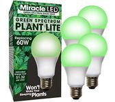 MiracleLED 604758 6-watt A19 Grow Room Specialty Light with Green LED Bulb, Omni directional, 4-Pack