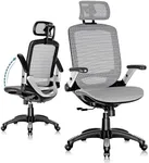 GABRYLLY Ergonomic Office Chair, Hi