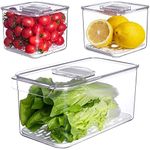 vacane 3 Pcs Set Fruit Lettuce Keep