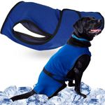 Lautus Pets XL Dog Cooling Vest - Easy On/Off Cooling Dog Coat with Double Velcro & Zip Neck, Lightweight & Portable Jacket for Dogs, Perfect for Owners, Walkers, Sitters & Pet Carers