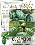 Seed Needs Cucamelon Seeds for Planting - Non-GMO, Heirloom & Untreated - Organically Grow a Vegetable Garden - Mexican Sour Gherkin/Mouse Melon (1 Pack)