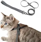 BuddyArmor Cat Harness and Leash 2-in-1, Escape Proof Anti-Chocking Harness Adjustable Lighweight Leash for Walking Outoor Training for Kitten Small Large Cats Puppy, US IDA Bronze Award (Space Gray)