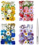 Fuyamp 131 Pcs Pressed Dried Flowers, Mixed Multiple Natural Flowers Leaves, Floral Art Craft with Tweezers for DIY Resin Pendant and Home Decorations