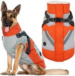 IECOii Dog Coat for Large Dogs, Ora