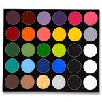 Mehron Makeup Paradise AQ Magnetic & Refillable 30 Color Pro Paint Palette - Face, Body, SFX Makeup Palette, Special Effects, Face Painting Palette for Art, Theater, Halloween, Parties and Cosplay