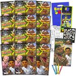 Jurassic World Play Pack Party Favors for Kids - Bundle with 12 Jurassic World Treat Bags with Coloring Book, Stickers, Coloring Utensils and More (Dinosaur Birthday Supplies)