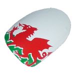 Chix Nails Nail Wraps Welsh Flag Wales Green White The Red Dragon Fingers Toes Vinyl Foils