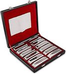 SWAN Harmonica Set 12 Keys 10 Hole 20 Tones Harmonica Blues Mini Harmonica for Adult, Professional Player,Beginner,Students with Case Bag (Silver 12 key (A B C D E F G Ab Bb Db Eb Gb))…