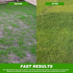 GroundMaster Premium Lawn Grass Seed 1KG – Hard Wearing, Fast Germination, Pet-Friendly, Covers 60m²