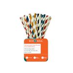 ECO SOUL [6 MM, 100 Count] Biodegradable Multicolor Paper Straws | Disposable Drinking Rainbow Eco-Friendly Compostable Paper Straws | Cocktail Cold Drink Juice Smoothie Non-Bendable Straws (Regular)