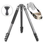 INNOREL ST324CT/ST324CF Carbon Fiber Tripod Max Height 160cm Max Load 20kg Max Tube Dia 32mm Professional Birdwatching Heavy Duty Camera Stand with 65mm Bowl Adapter Tripod Bag (Fast Flip Lock)