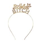 ALLY-MAGIC Birthday Crowns, Birthday Headband, Princess Tiara, Metal Princess Rhinestone Birthday Bitch Headband, Birthday Gifts for Women, Sweet Birthday Accessories Y9BITCHFG (Gold)