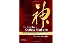 The Psyche in Chinese Medicine: Treatment of Emotional and Mental Disharmonies with Acupuncture and Chinese Herbs