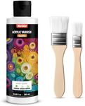 Nariolar Gloss Varnish for Acrylic Painting - 8.5 fl oz / 250 ml Artists Acrylic Varnish, Non-Yellowing, Anti-Crazing, Ultra High Gloss Finish, Fast Drying, Durable Protection for Artists