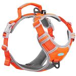 ThinkPet No Pull Harness Breathable Sport Harness with Handle-Dog Harnesses Reflective Adjustable for Medium Large Dogs,Back/Front Clip for Easy Control Neon Orange M