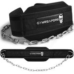 Gymreapers Dip Belt with Chain for Weightlifting, Pull Ups, Dips - Heavy Duty Steel Chain for Added Weight Training (Black)