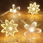 TECHNO E-TAIL 20 LED String Lights for Home Decoration with 10 Lotus and 10 Blossom Flowers (13 ft, Warm White)