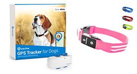 Tractive GPS Dog Tracker + LED Collar. Live Location With Unlimited Range (Pink, M)
