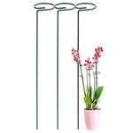 ecofynd 16 inches Metal Plant Stakes, Pack of 3 | Single Stem Flower Plant Support | Garden Plant Trellis for Amaryllis Orchid Lily Rose Tomatoes