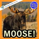 Moose!: A My Incredible World Picture Book for Children