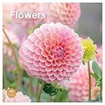 2024 Flowers Monthly Wall Calendar by Bright Day, 12 x 12 Inch