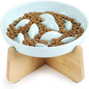 Slow Feeder Bowl with Stand, Elevated Ceramic Cat Bowl for Dry & Wet Food, Anti-Vomiting Puzzle Feeder