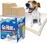 OUT! Go Here Absorbent Pet and Puppy Training Pads 100 Disposable Pads. 53 x 55cm. 5 Layer Leak-Proof Odour-Control Non-Slip -100 Pads white