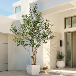 8.2FT Large Artificial Olive Tree Indoor with Pot & Moss – Faux Olive Trees with Realistic Trunk & Leaves Silk Olive Trees Floor Standing Plant for Living Room Olive Trees Artificial Indoor