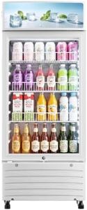 ICEVIVAL 6 Cu.Ft Glass Door Commercial Display Refrigerator