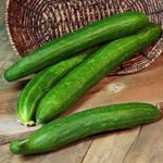 Gebdinsh Garden® Imported Sponge Gourd Vegetables Seeds For Kitchen Gardening (Pack Of 5 Gram Seeds)