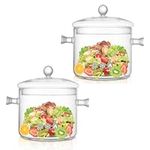 FVIEXE 2PCS Glass Cooking Pot Set with Lid, 1.6L/54OZ Clear Glass Simmer Pot for Stove Top Potpourri Clear Cooking on Stove Pots, Clear Glass Boiling Saucepan with Lid for Pasta Noodle, Soup, Salad