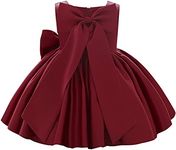 Flower Girls Bowknot Tutu Dress for