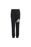 adidas Unisex Kids Essentials Regular Fit Big Logo Cotton Pants, Black/White, 9-10 Years