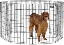 MidWest Homes for Pets 42-Inch Exer