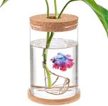 Betta Fish Tank - Mini Bowls for Beta Fish, Aquaponic Fish Tank Clear Hydroponic Plant Terrarium for Promoted Ecosphere Aquatic Ecosystem - 6.7" H * 3.9" D