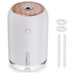 White Humidifier With Usbs