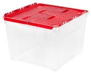 IRIS Holiday Wing-Lid Box with Ornament Dividers, 60 Qt, Clear/Red, 2 Pack