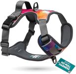 Embark Urban Dog Harness, No Pull D