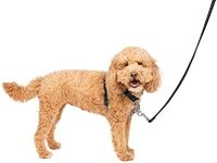 PetSafe 3 in 1 No-Pull Dog Harness 