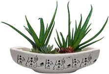 luminescence Enterprises Ceramic Bonsai Tray Pot Without Plant (Pot, Planter, Gamla) Size 10 INCH, Colour White,Pack of 1