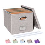 Oterri File Organizer Box, Portable File Storage Box with Lid, Filing Box with Handle, File Organizer for Hanging File Folders Letter Size, File Folder Box, 1 Pack, Gray (No Folders)